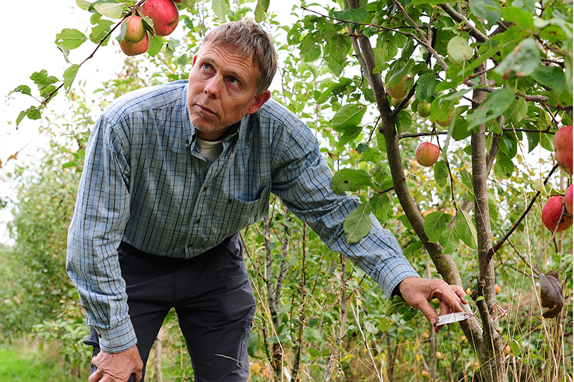Lubbert Dijk in zijn boomgaard